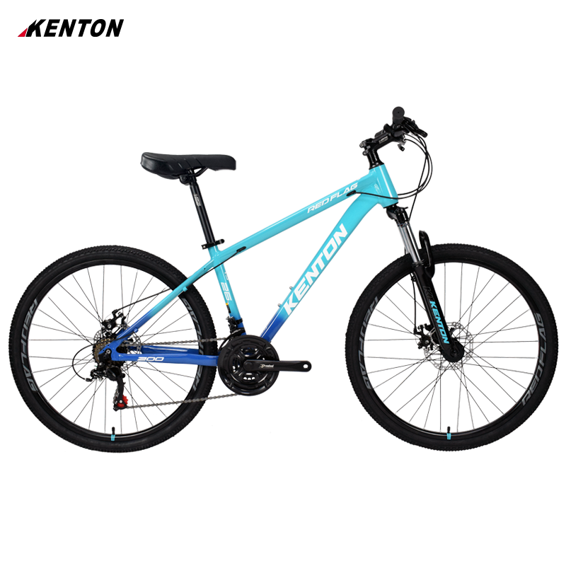 trekking bike riverside 920 cn