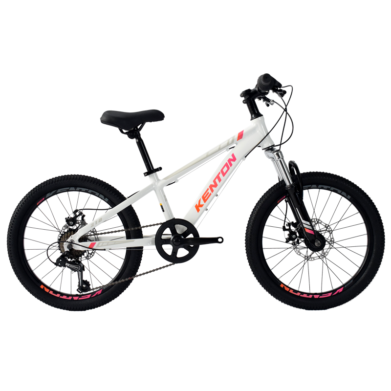　 Swift Dragon200